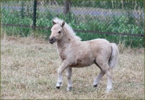 Foto's Lonneke van ’t Wijbos